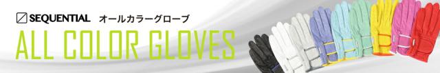 オールカラーグローブ