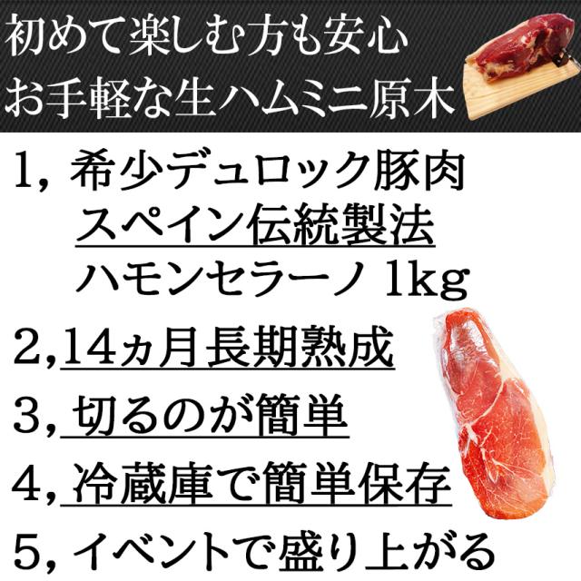 初めての方も安心生ハムミニ原木セット、ハモンセラーノ