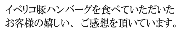 ハンバーグギフト冷凍