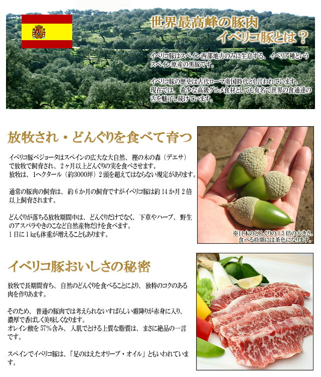 世界最高峰の豚肉イベリコ豚とは？
