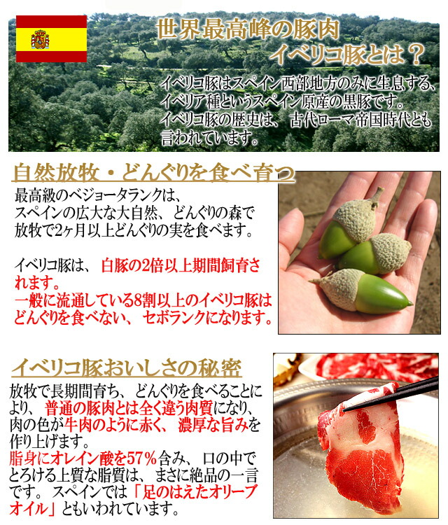 世界最高峰の豚肉イベリコ豚とは？