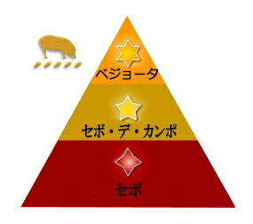 ハモンイベリコベジョータランク