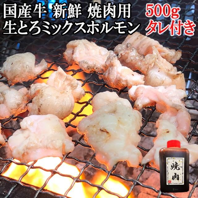 国産牛ミックスホルモン焼肉よう用
