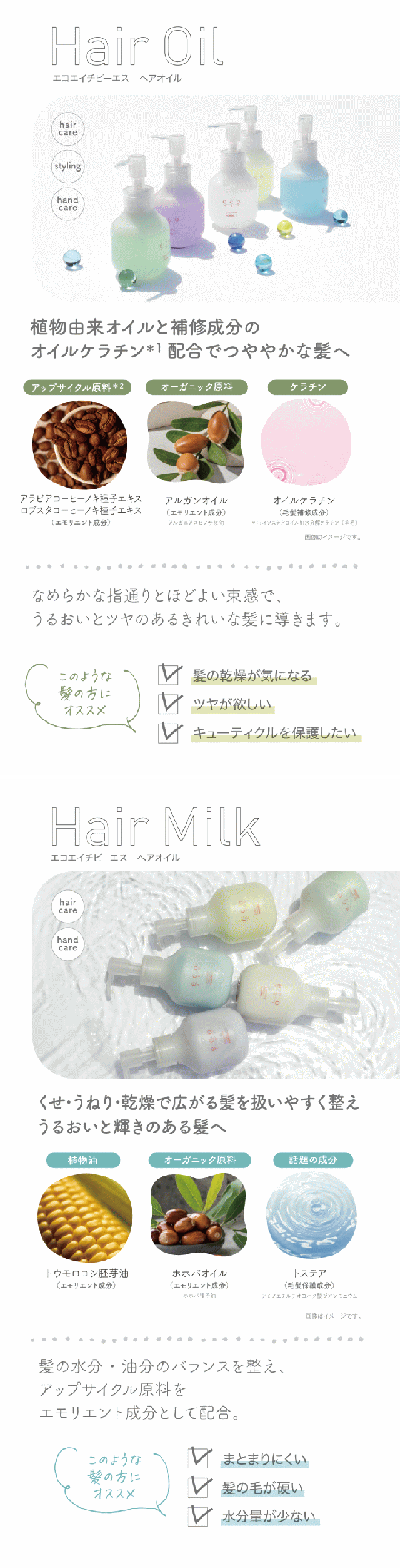 パイモア エコエイチビーエス シャンプー 500ml ムスク 12個セット