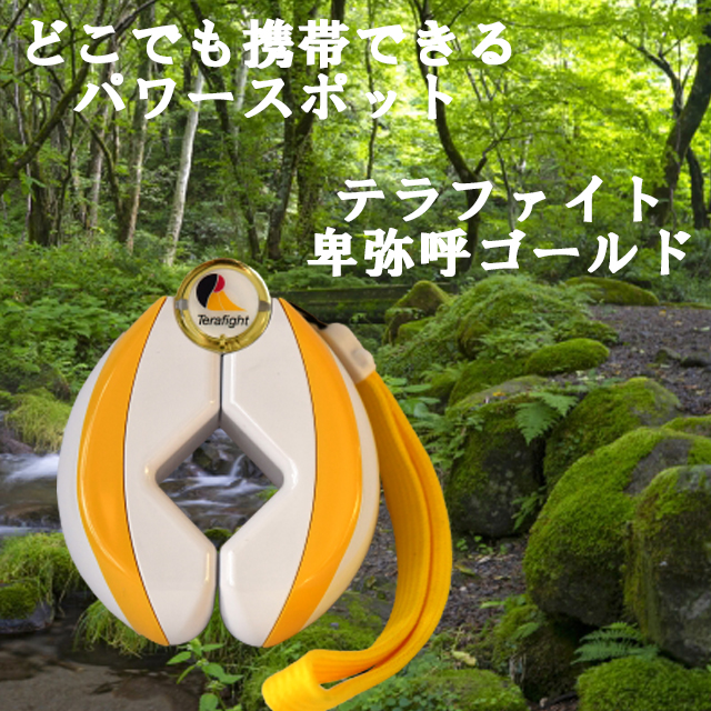 ゼロリスト　ゴールド ゼロリスト ゴールド （ゼロリストゴールド【製造元】（ゼロ磁場