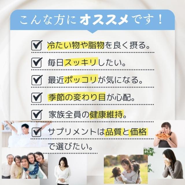 乳酸菌サプリ 菌パワー2