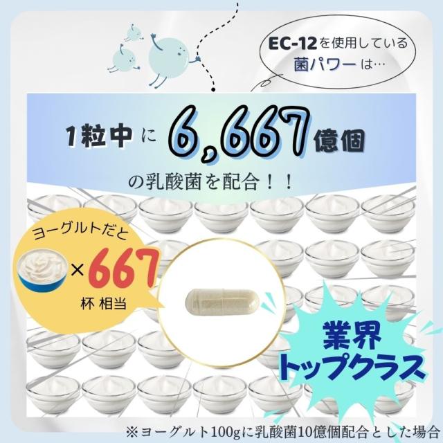 乳酸菌サプリ 菌パワー5