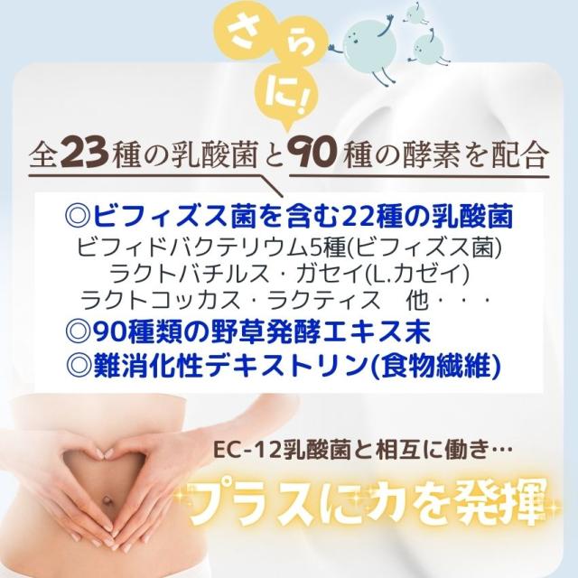 乳酸菌サプリ 菌パワー6