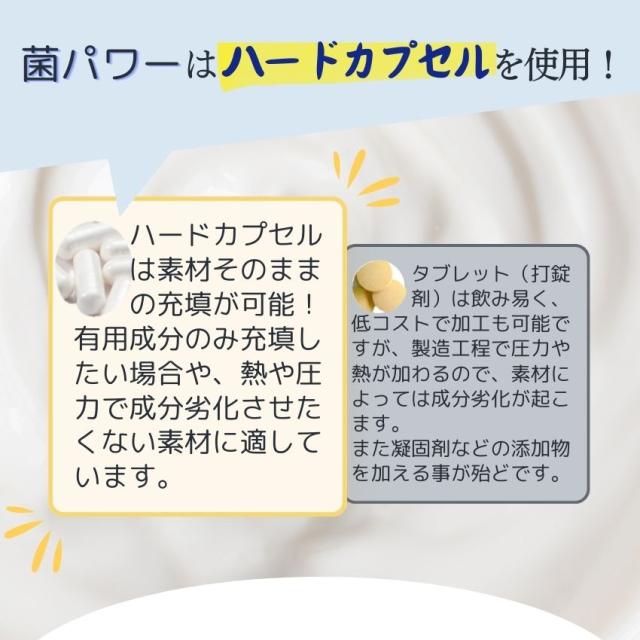 乳酸菌サプリ 菌パワー9