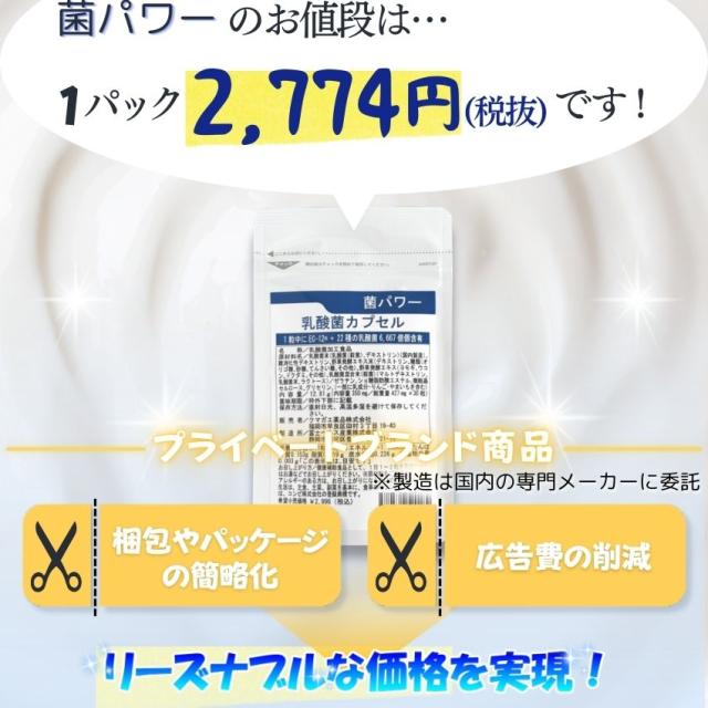 乳酸菌サプリ 菌パワー10