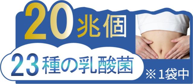 乳酸菌サプリ 菌パワー ポップ