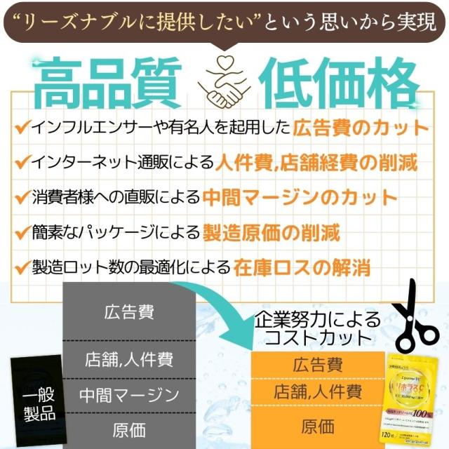 リポソーム ビタミンC 「リポラスC」 13