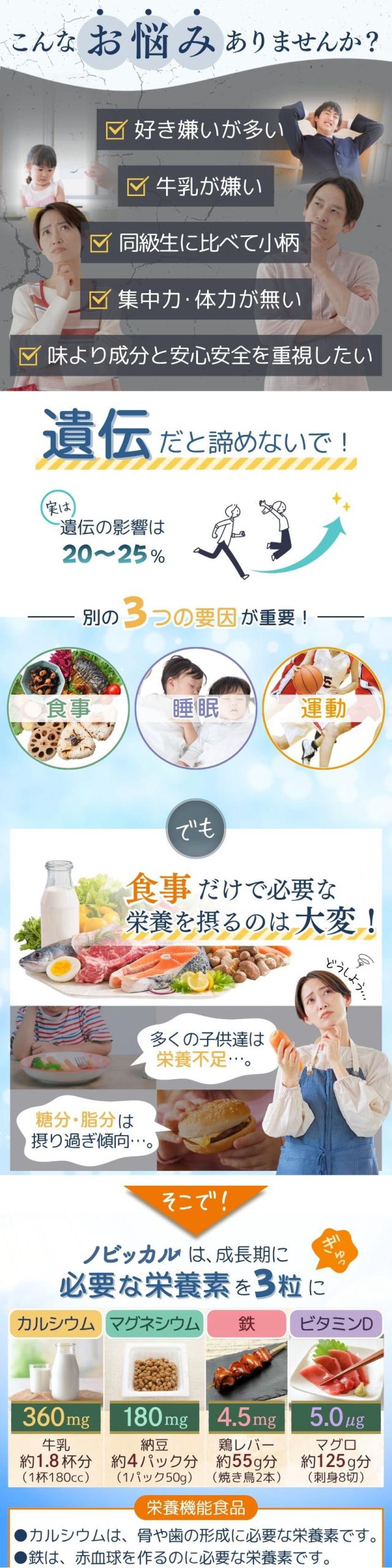 ノビッカル02-05