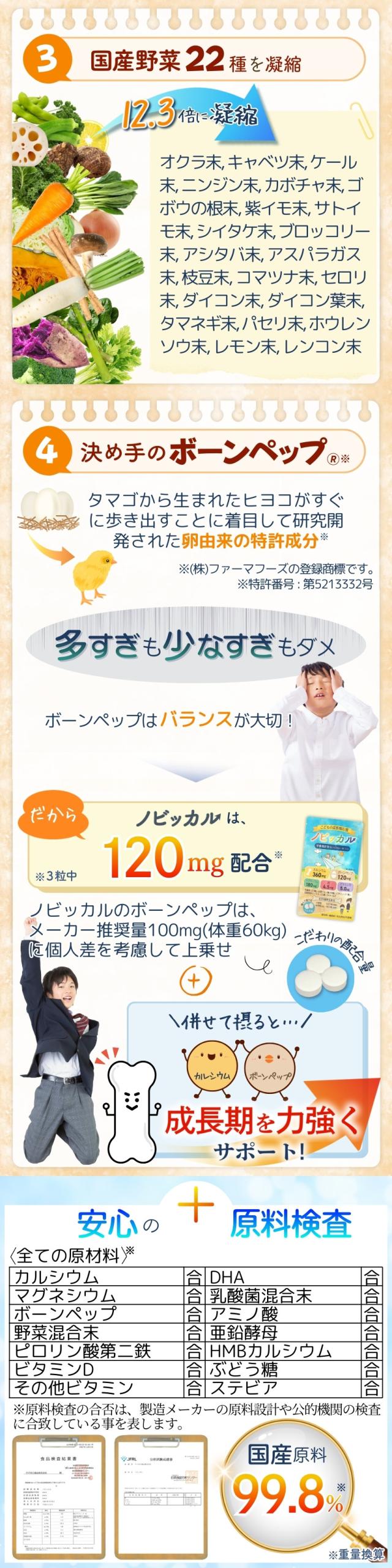 ノビッカル10-13