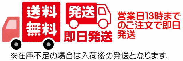 送料無料、即日発送