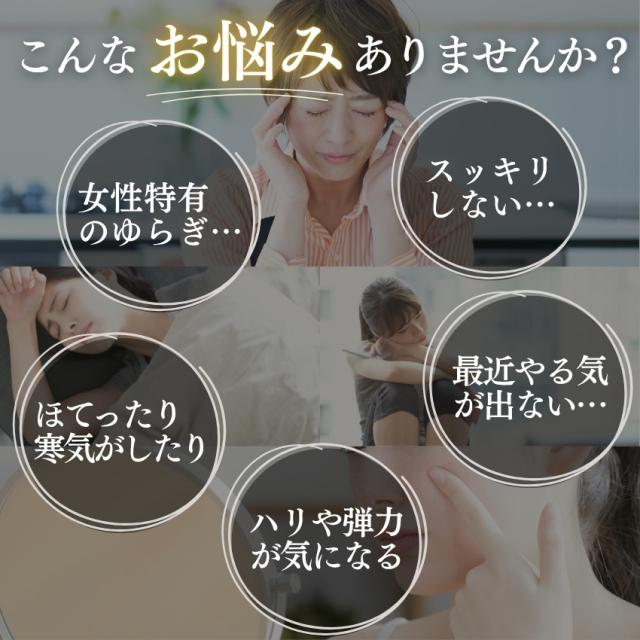 馬プラセンタエキス 麗らか娘 02