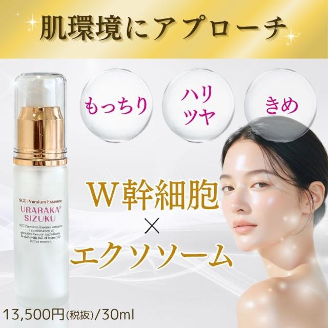 ヒト幹細胞＋馬プラセンタ