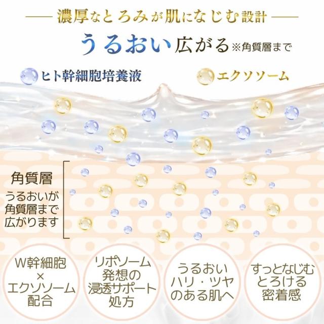 ヒト幹細胞＋馬プラセンタ