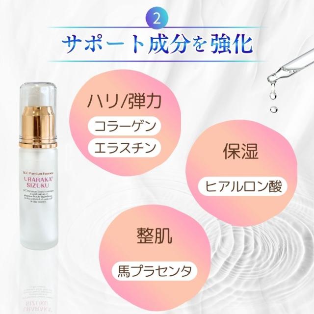 ヒト幹細胞＋馬プラセンタ