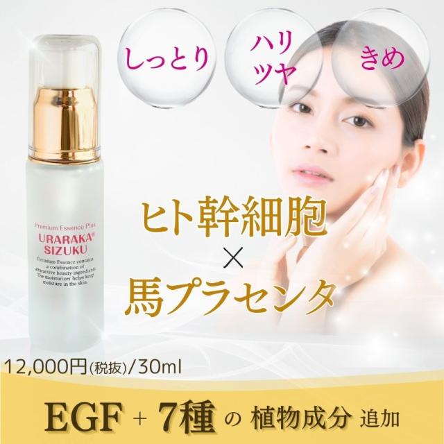 ヒト幹細胞+馬プラセンタ