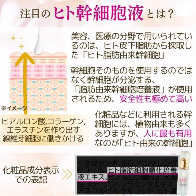 ヒト幹細胞+馬プラセンタ