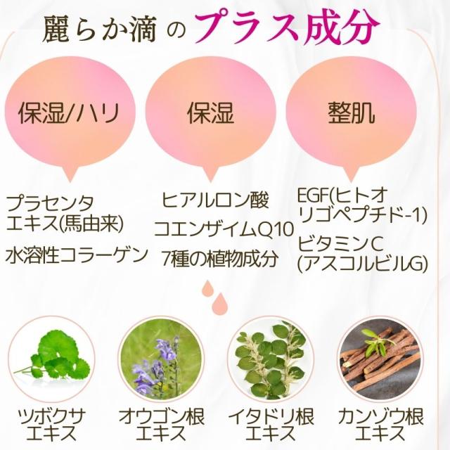 ヒト幹細胞+馬プラセンタ