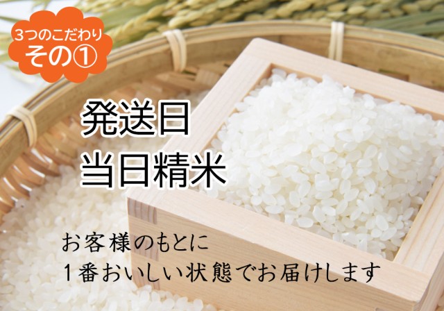 楽天市場】【送料無料】【米】【10kg】【二重包装】【無洗米
