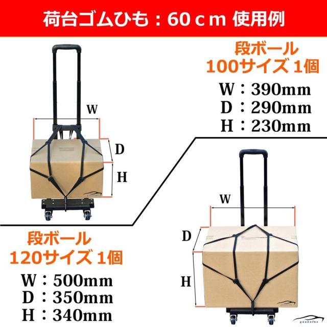 REX-OWL 荷台ゴムひも