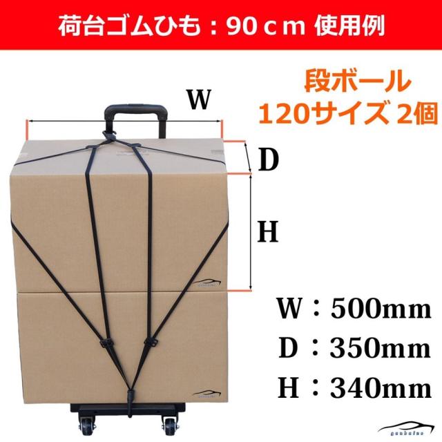 REX-OWL 荷台ゴムひも