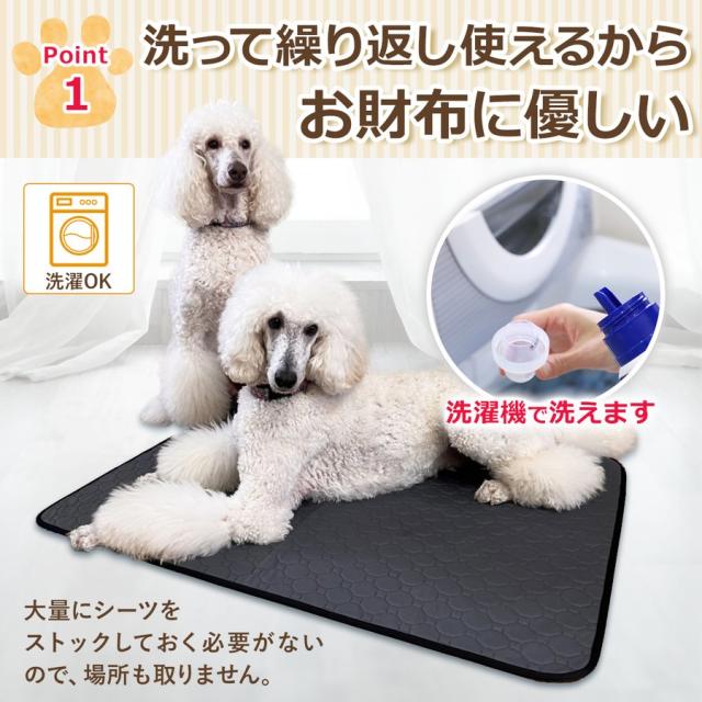 わんちゃんのペットシート&クロゼット