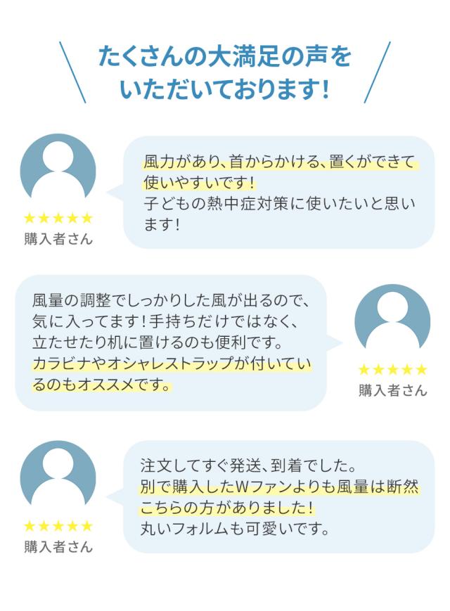 大風量ダブルファン カラビナ付