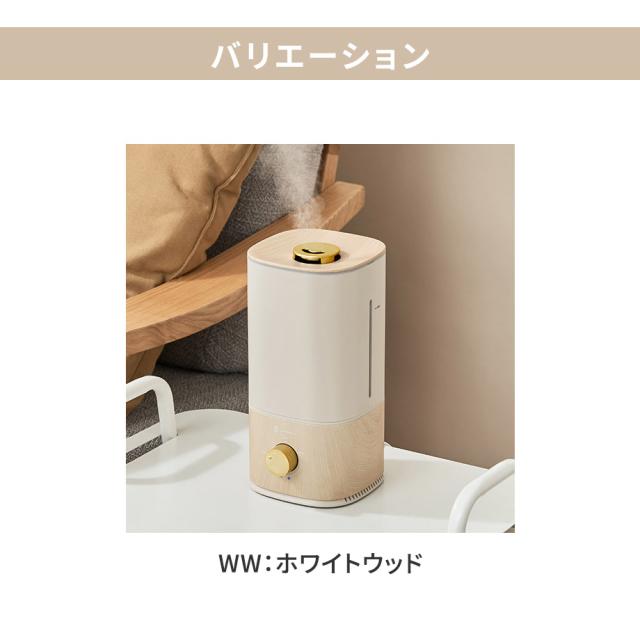 バリエーション