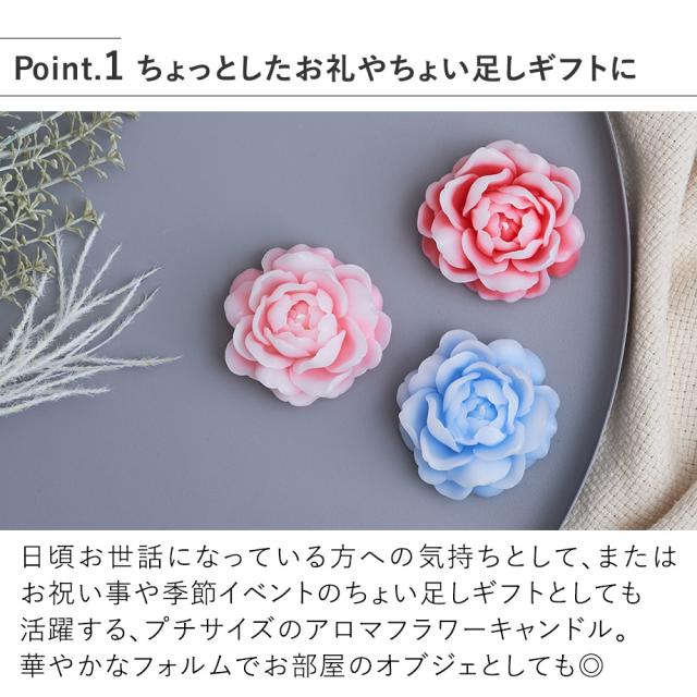 MRU-132 ポイント1