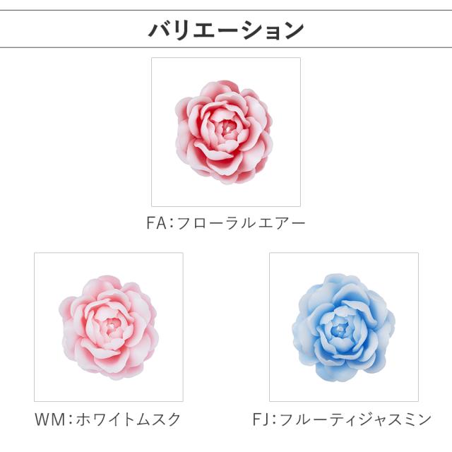 バリエーション