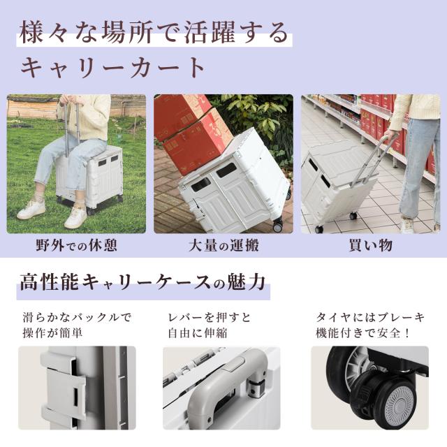 折りたたみフタ付きキャリー 折り畳み お買い物 カート 買い物かご