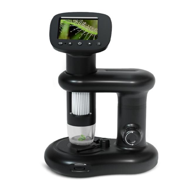 小学生 自由研究