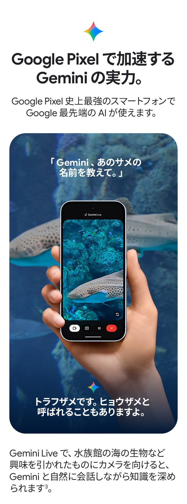 Google Pixel 10 Pro XL 256GB Android グーグル ピクセル スマートフォン auオンラインショップ au  online shop 送料無料 au公式 SIM SIMフリー 本体 機種のみ スマホの通販はau PAY マーケット - ａｕ Ｏｎｌｉｎｅ  Ｓｈｏｐ | au PAY マーケット－通販サイト