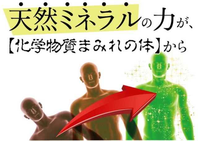 レスベラトロール サプリメント 酵素 サプリ 送料無料 元気ミネラル酵素 福寿