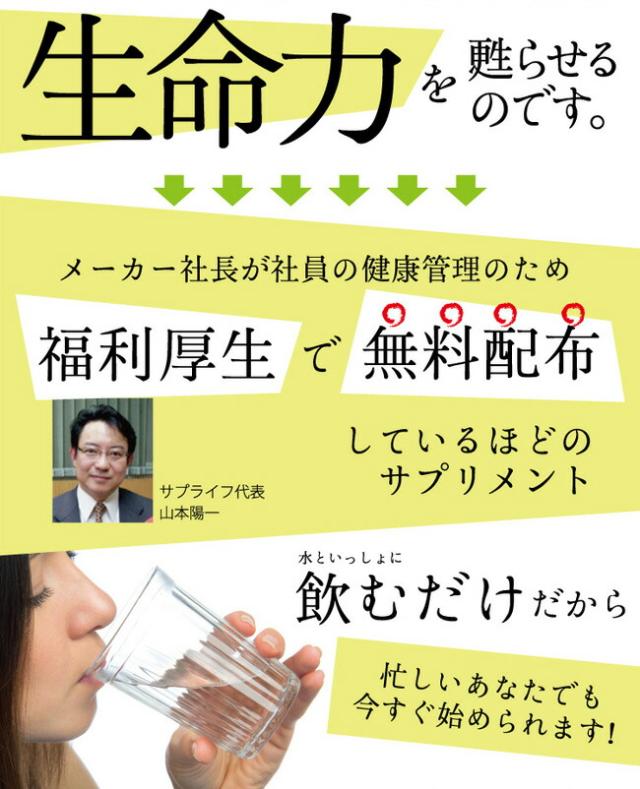 レスベラトロール サプリメント 酵素 サプリ 送料無料 元気ミネラル酵素 福寿