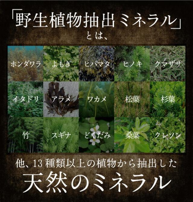 レスベラトロール サプリメント 酵素 サプリ 送料無料 元気ミネラル酵素 福寿