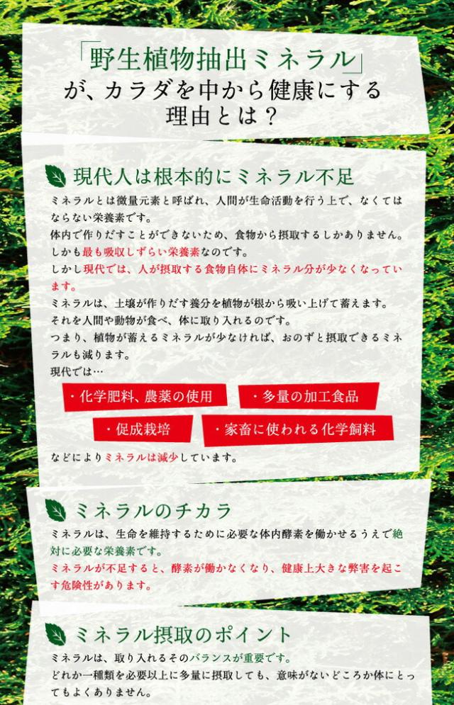 レスベラトロール サプリメント 酵素 サプリ 送料無料 元気ミネラル酵素 福寿