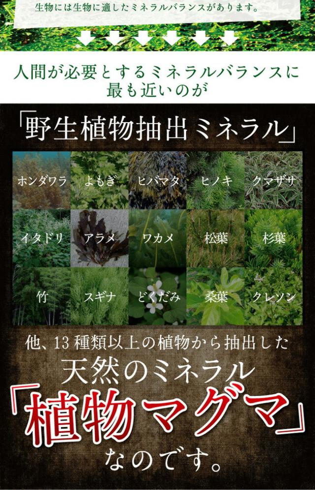 レスベラトロール サプリメント 酵素 サプリ 送料無料 元気ミネラル酵素 福寿