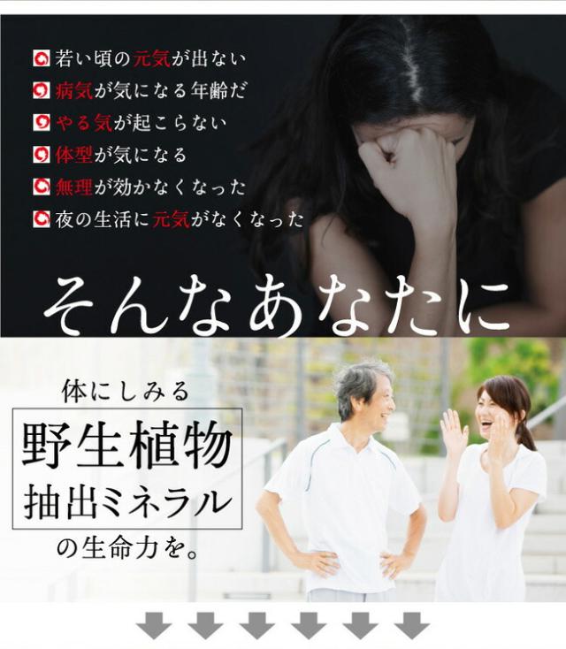 レスベラトロール サプリメント 酵素 サプリ 送料無料 元気ミネラル酵素 福寿