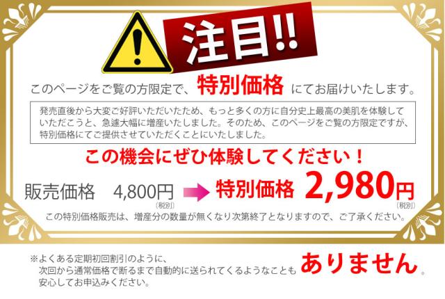 特別価格2980円