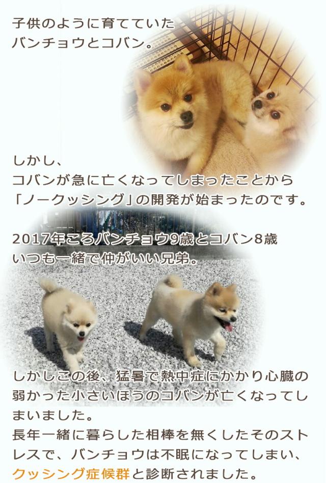 犬用サプリメント ノークッシング 180粒入 ×5セット ペット用サプリ ノークッシング 180粒入 サプリ ペット用