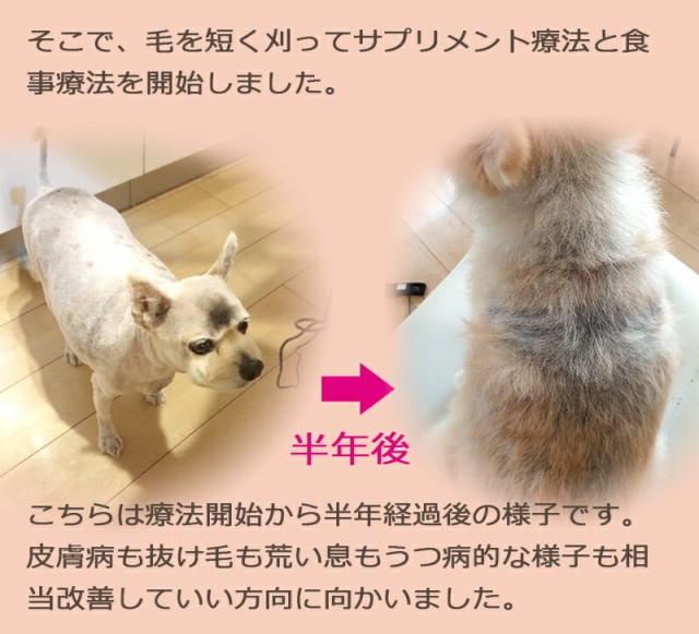 esthesupply_2020012202