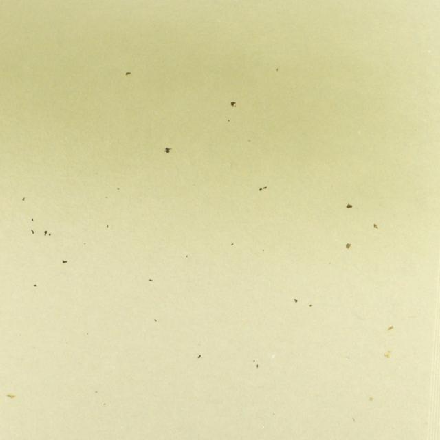 書道用紙 かな用料紙 蘭