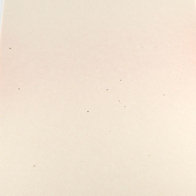 書道用紙 かな用料紙 蘭