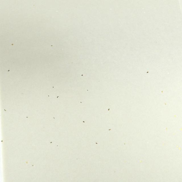 書道用紙 かな用料紙 蘭