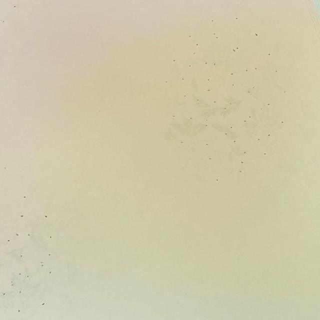 書道用紙 かな用料紙 花散里